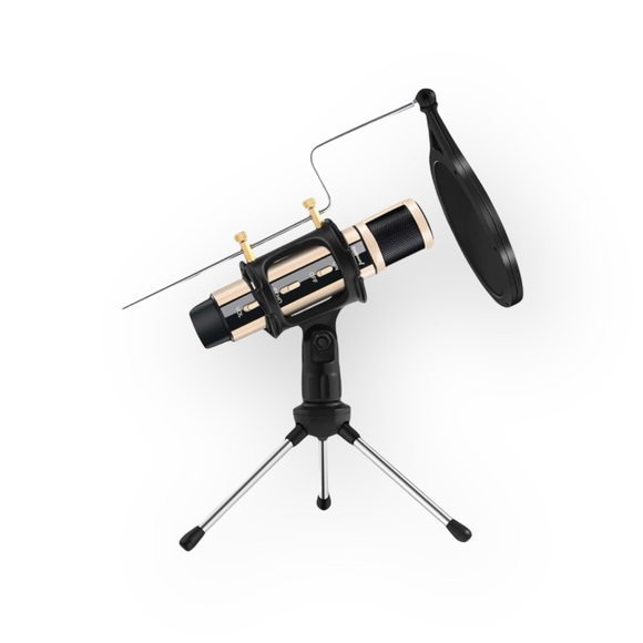 new ZealSound ☀︎︎ Portable Pod Tik Tok IG YouTube Zoom Microphone ☀︎︎ Rose Gold - Picture 1 of 16